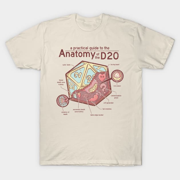 Anatomy of the D20